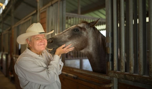 Senior Horse Nutrition