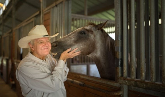 Senior Horse Nutrition