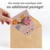 Pollinator Hummingbird - Wildflower Mix Seed Packets