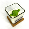 Cactus flower & Jade Soy Wax Candle: 2.5 OZ / Saguaro