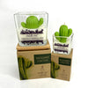 Cactus flower & Jade Soy Wax Candle: 2.5 OZ / Saguaro