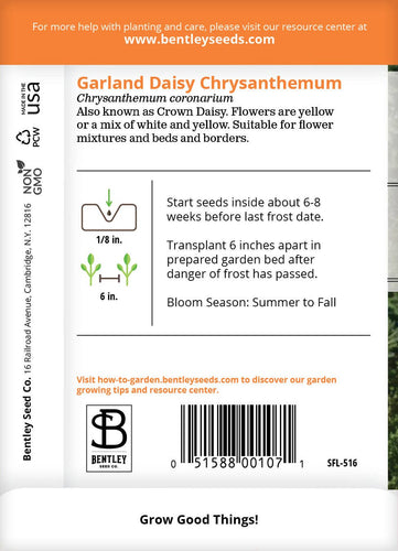 Daisy, Garland Daisy Chrysanthemum Seed Packets