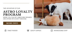 A black and white dog playing with a plush toy, with a promotional overlay for the ‘Astro Loyalty Program’ highlighting family passion, quality supplies, and knowledgeable staff.