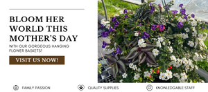 Hanging Flower Basket