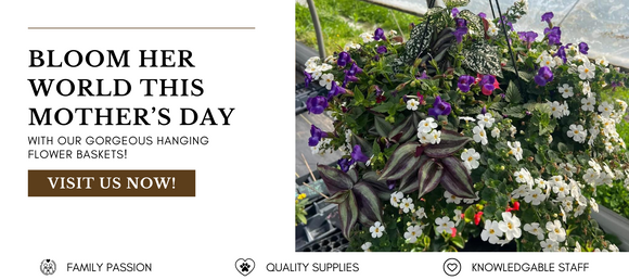 Hanging Flower Basket