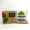 Cactus flower & Jade Soy Wax Candle: 2.5 OZ / Saguaro