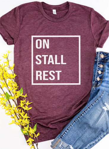 On Stall Rest Quarantine Equestrian Short Sleeve T-Shirt: Dusty Rose / XS