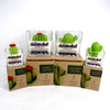 Cactus flower & Jade Soy Wax Candle: 2.5 OZ / Saguaro
