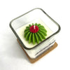 Cactus flower & Jade Soy Wax Candle: 2.5 OZ / Saguaro