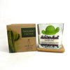 Cactus flower & Jade Soy Wax Candle: 2.5 OZ / Saguaro