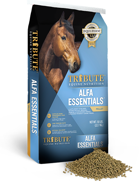 Tribute Alfa Essentials®