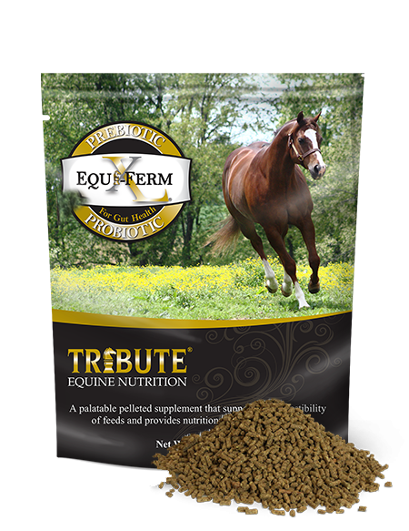 Tribute Equi-Ferm XL®