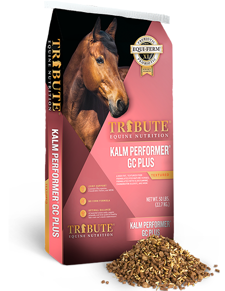 Tribute Kalm Performer® GC Plus