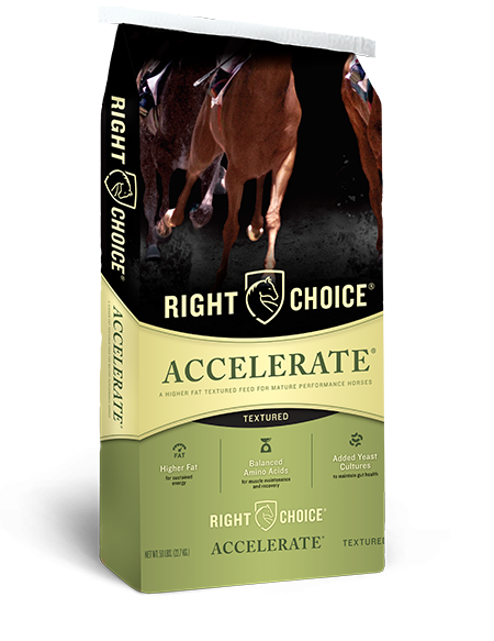 Accelerate® Textured Horse Feed