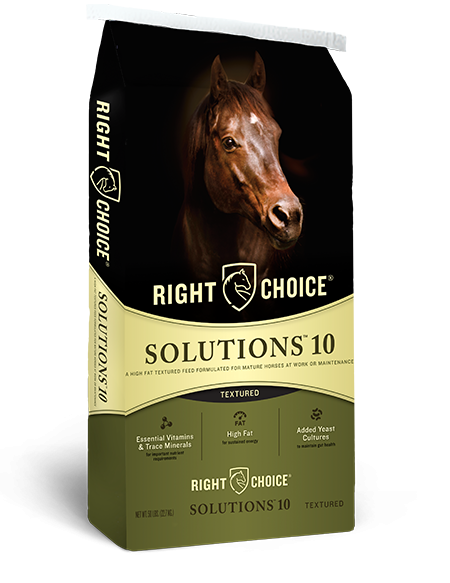 Solutions® 10 Textured Horse Feed
