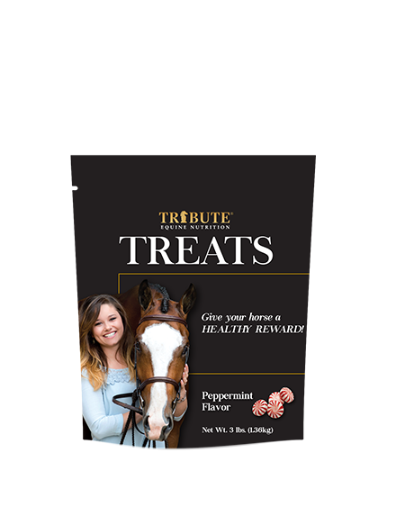 Tribute® Peppermint Horse Treats